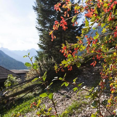 Garni Alpenspitz B&B Racines Luaran gambar