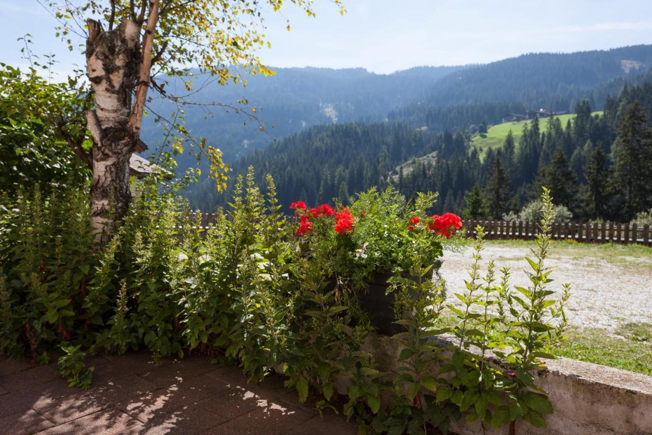 Garni Alpenspitz B&B Racines Luaran gambar